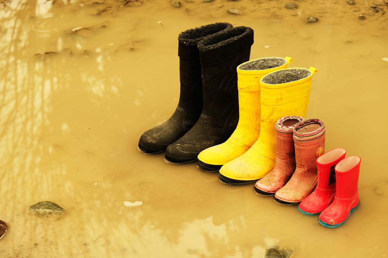 Wellington Boots